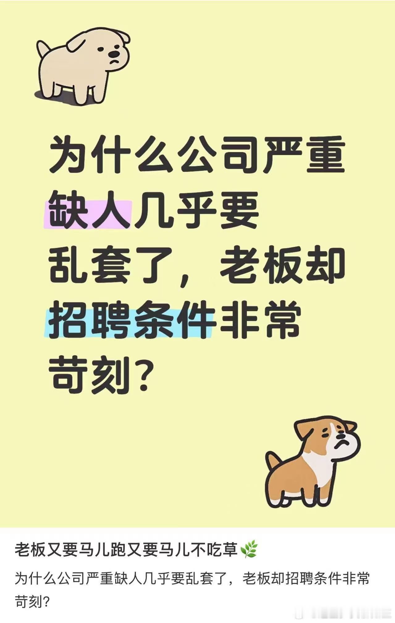 见过最邪门的招人要求 本牛马现在就是进退两难了，想跑路看到那些公司的招聘条件确实