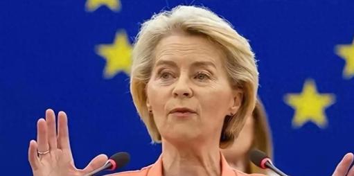 前一天欧盟还大张旗鼓宣布拉黑16家中国及相关企业，放话说要给我们施压施压。可谁也