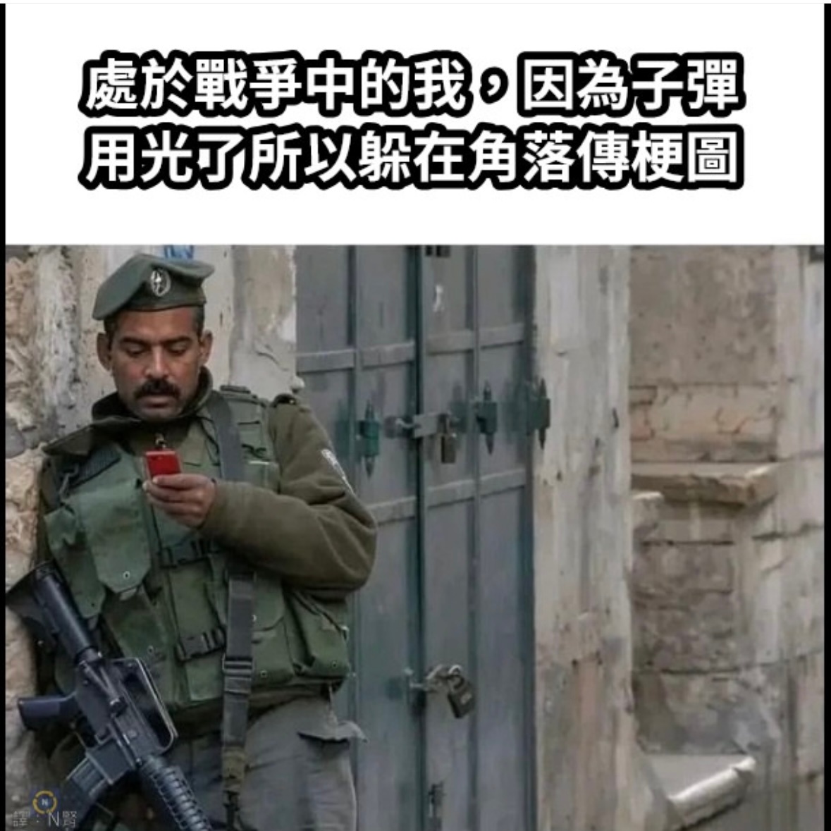 及时行乐memes ​​​