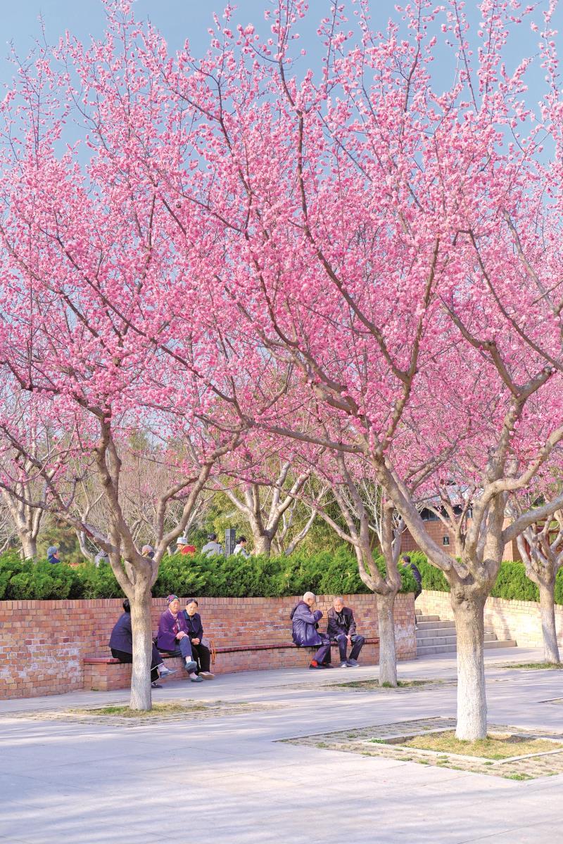 别扭的善意也是爱：好好说话，是一生最好的修养
 
生活里总藏着一种特别矛盾的爱，