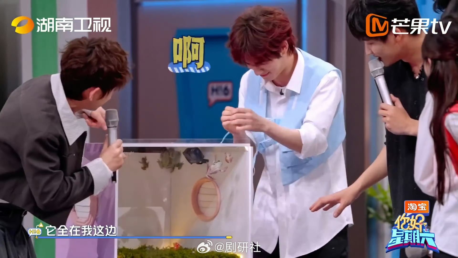 丁程鑫这就是不愿面对现实的我丁程鑫害怕出残影你好星期六 丁程鑫把害怕演到极致，连