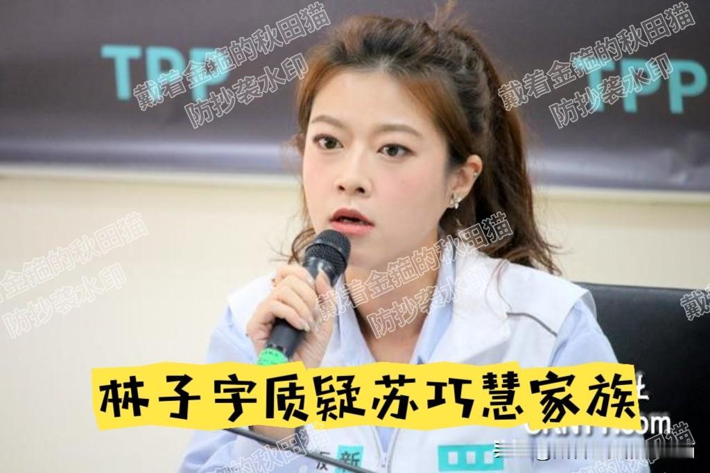以彼之道，还施彼身！
苏巧慧家族遭民众党质疑：妹妹公司拿补助，爸爸当院长，利益回
