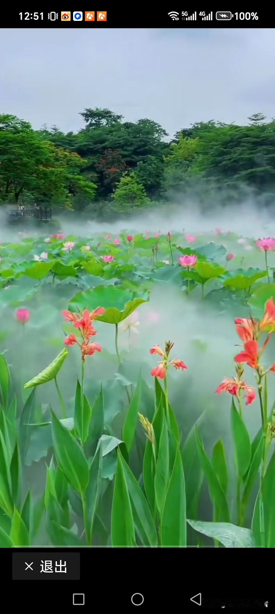 日落西山夜深沉
月升东湖一抹红