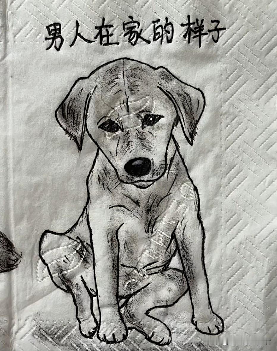 我刷短视频刷到一个有才之士用厕纸作了几幅画，上面惟妙惟肖地画着狗狗的各种表情图片