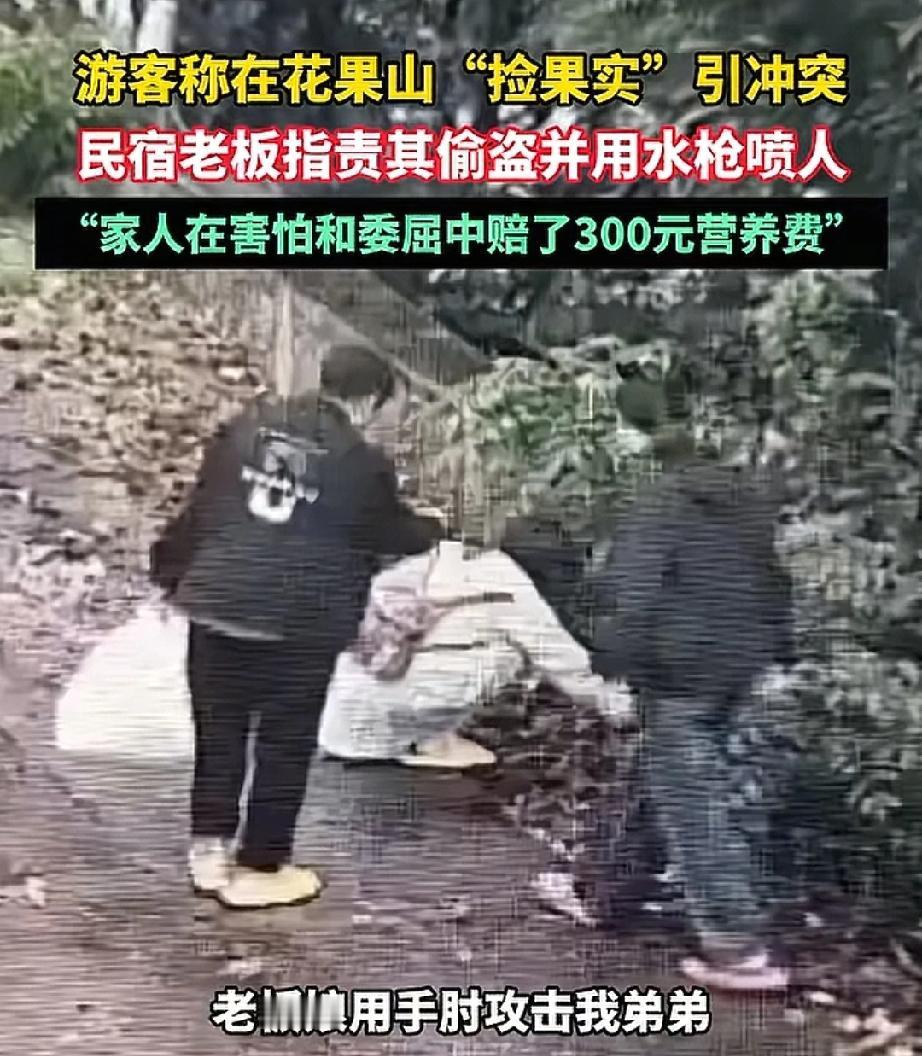 花果山“捡果”冲突：是“偷”还是“捡”，良知才是唯一的判官。
 


近日，花果
