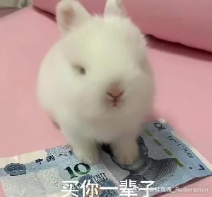 分享图片 