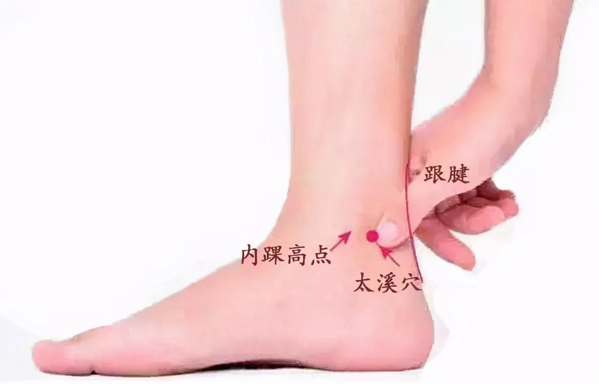 穴位养生：自然疗法，从头至脚的健康守护

在追求健康与养生的道路上，我们往往忽略
