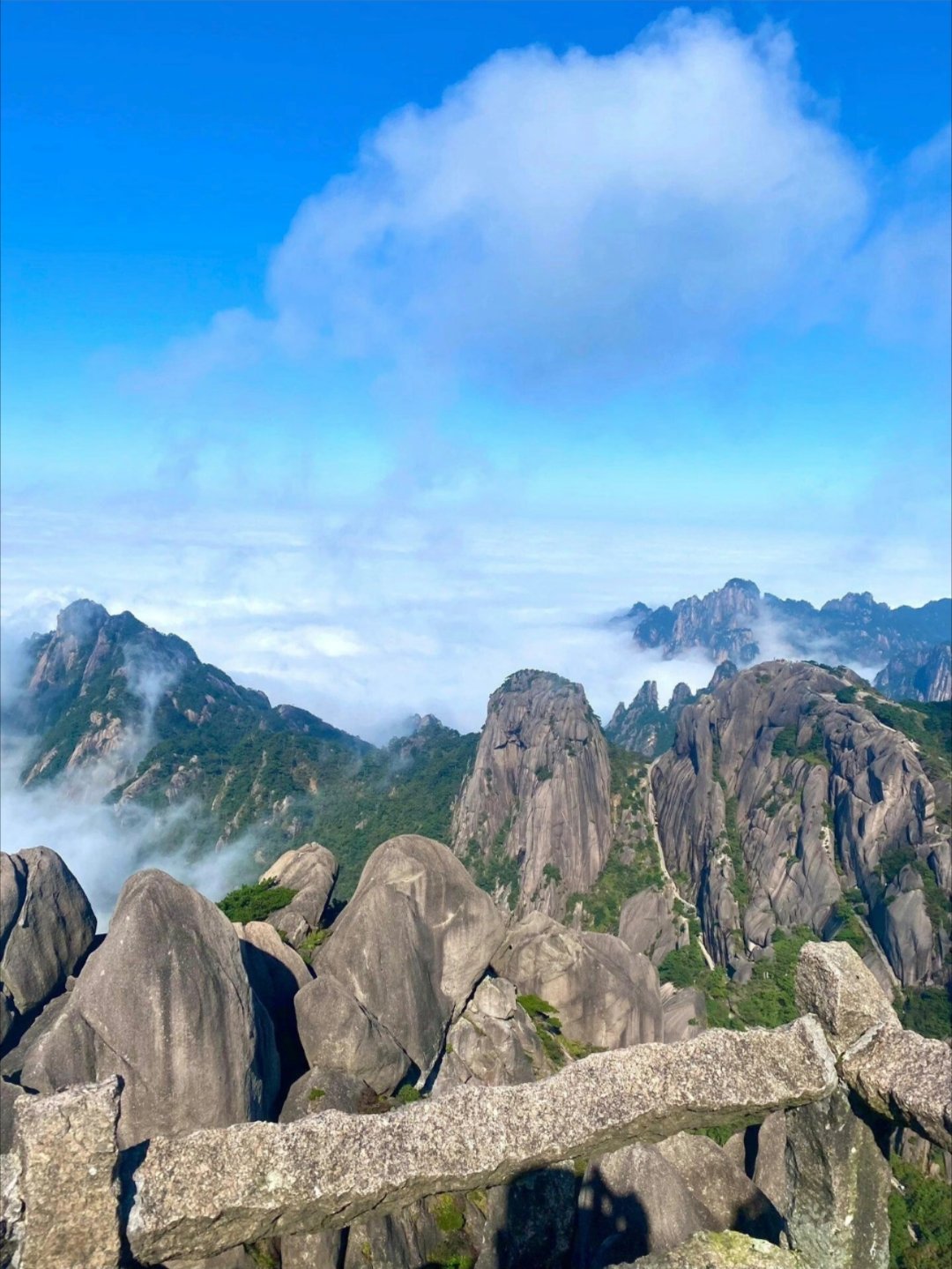 这些文字真的太减压太治愈了我的私人宝藏书单书评 世界上最宽阔的是海洋, 比海洋更
