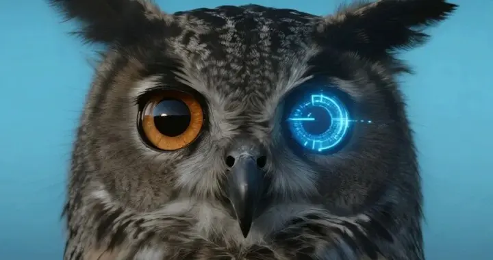 电子科技大学提出基于双路径注意力干预多模态大模型物体幻觉缓解