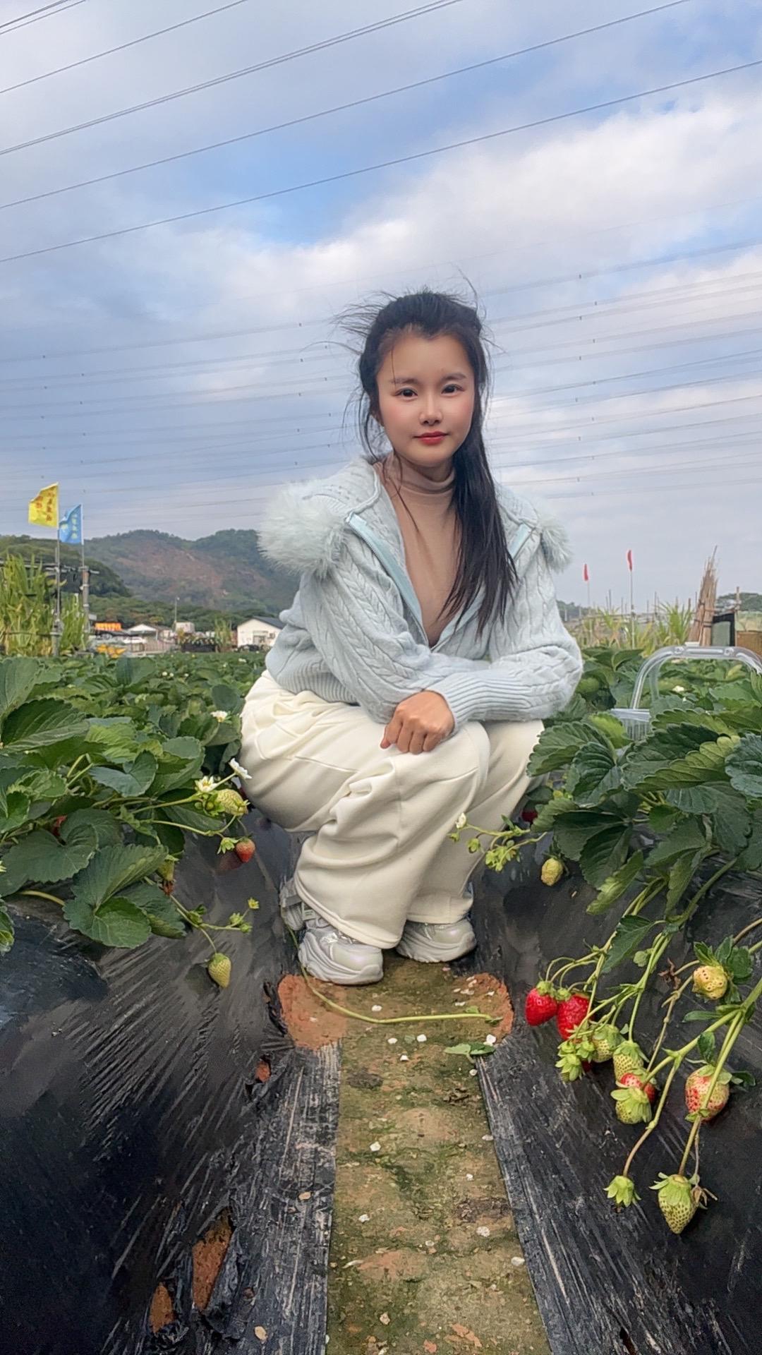 冬季的草莓比较甜