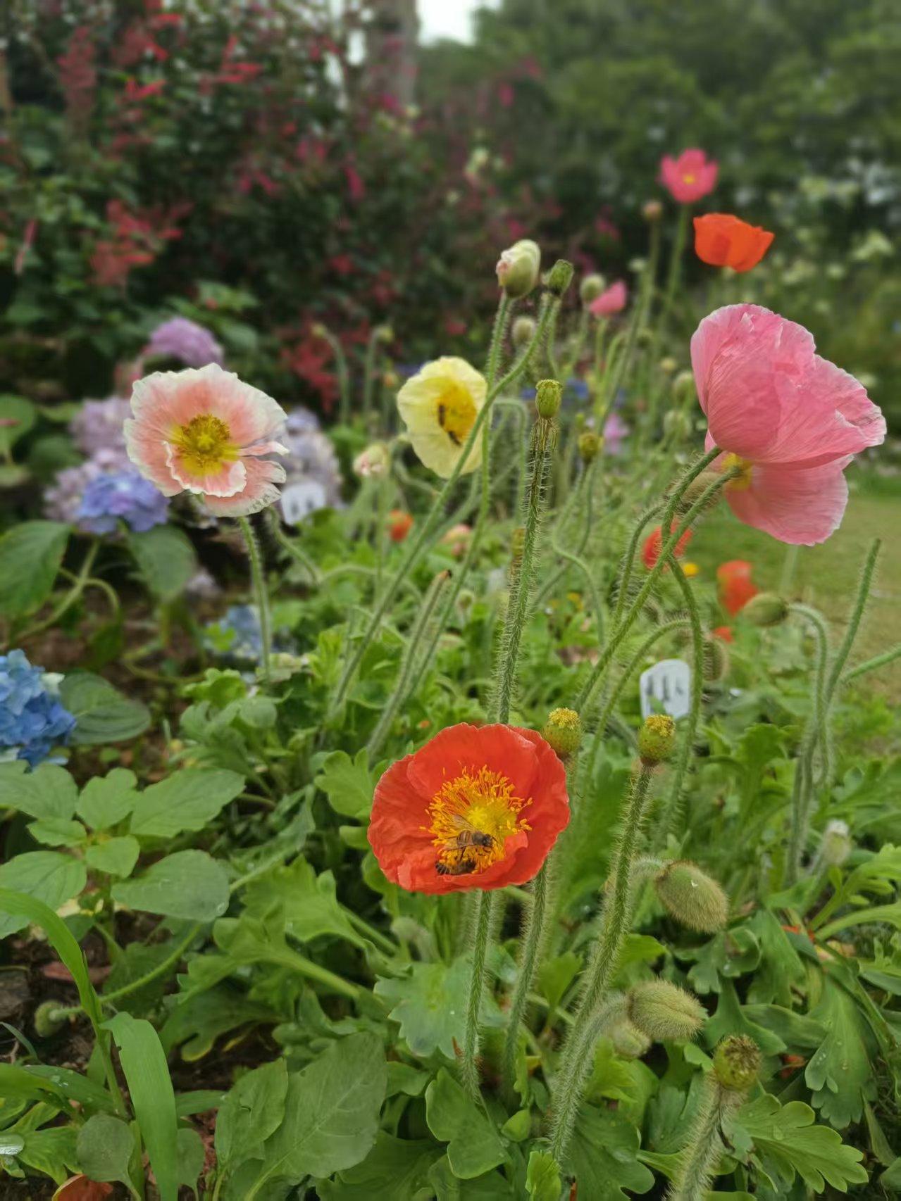 一位教授说：只有对自己不将就，才能越来越优秀！

优秀从来不是自然而然发生的，都