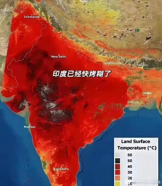 烧烤印度，这也太狠了