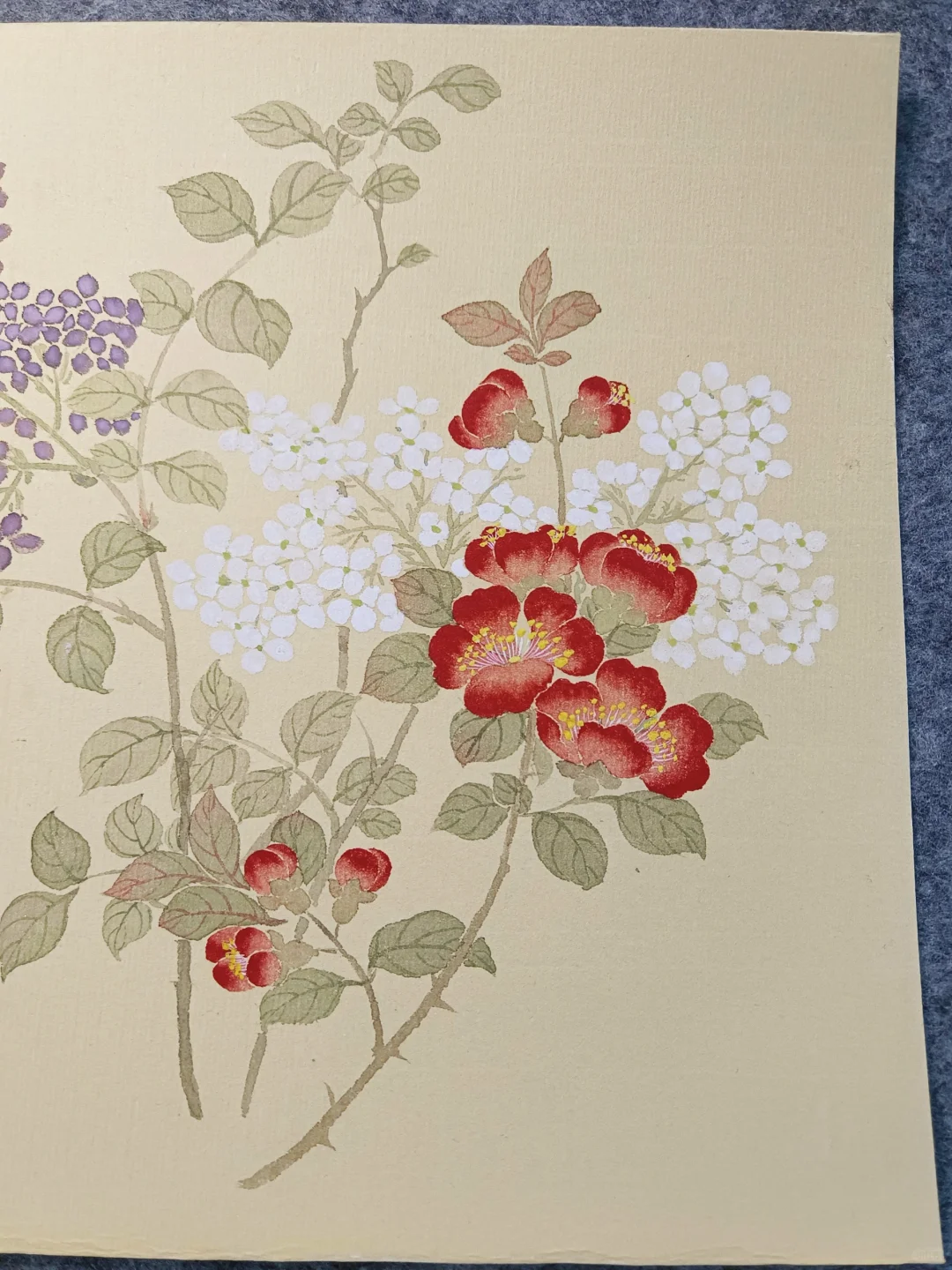 国画‖没骨花卉