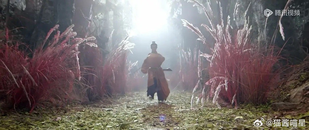 这导演不会拍美镜头吗，跑步还是不要正面拍 