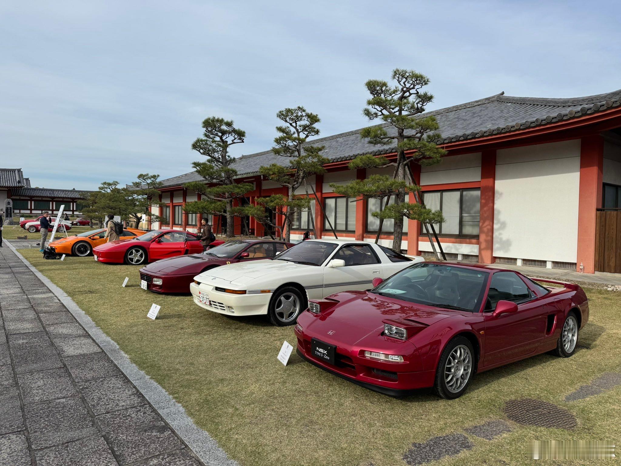 官方回应为什么不能把杨柳树都砍了听专家这意思，有生之年怕是看不到北京不飘毛了 