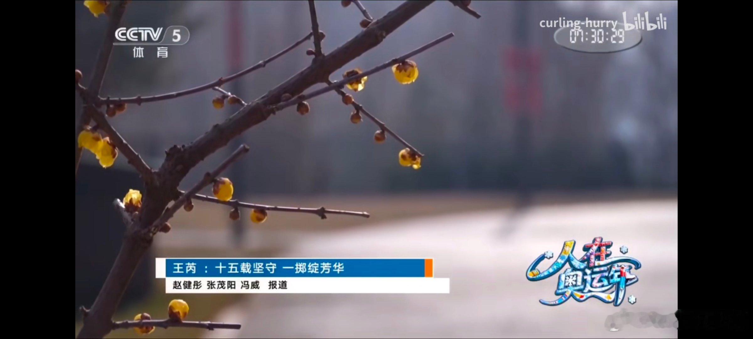 所以现在看，人在奥运年真很瘟四年前韩雨那个播了结果……懂得都懂隔壁林孝埈也是人在