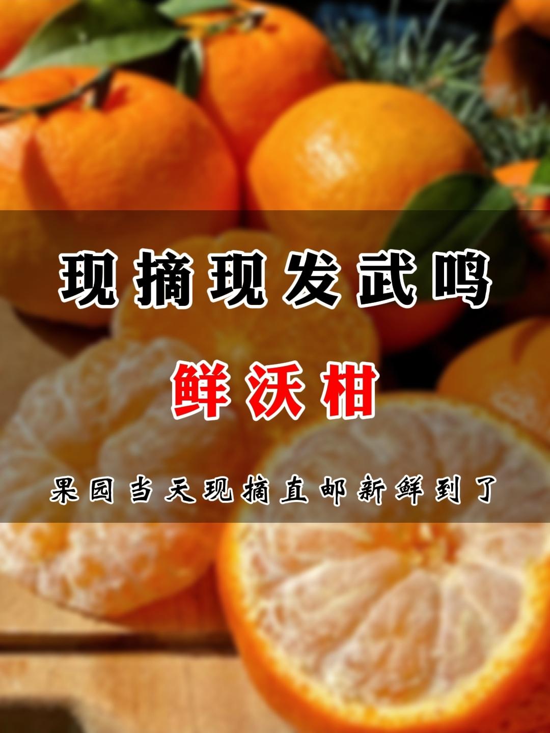 🍊武鸣沃柑，果肉细腻多汁，你吃过吗？亲们，今天给大家安利一款美味的水果——武鸣