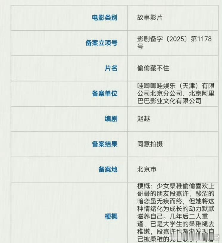 偷偷藏不住电影备案我嘞个豆，剧版就已经很上头了，现在电影也要安排上！导演是谁，有