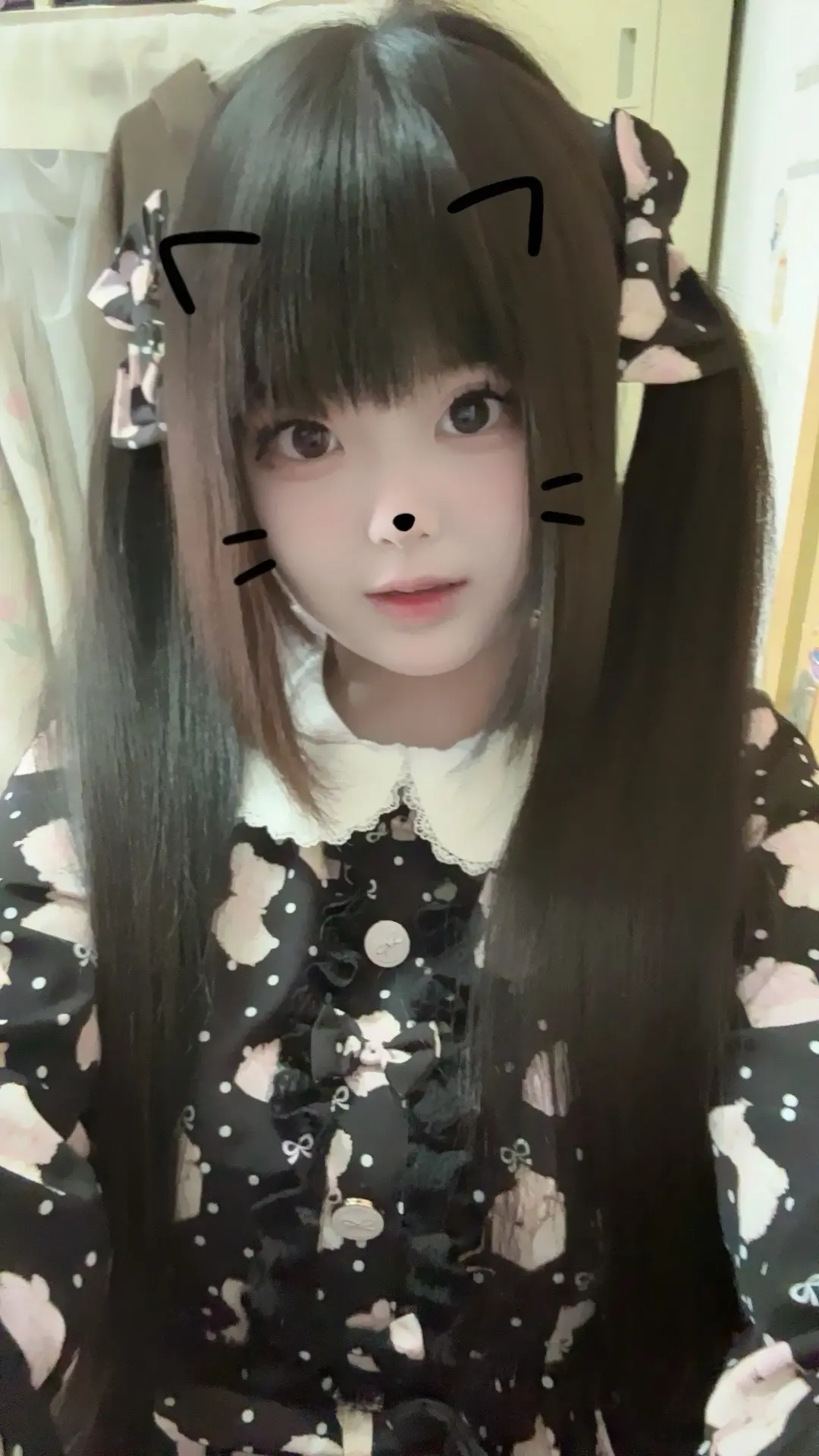下辈子当个没有脑子的小猫咪就好了，开心就喵喵叫，不开心也喵喵叫，困了也...