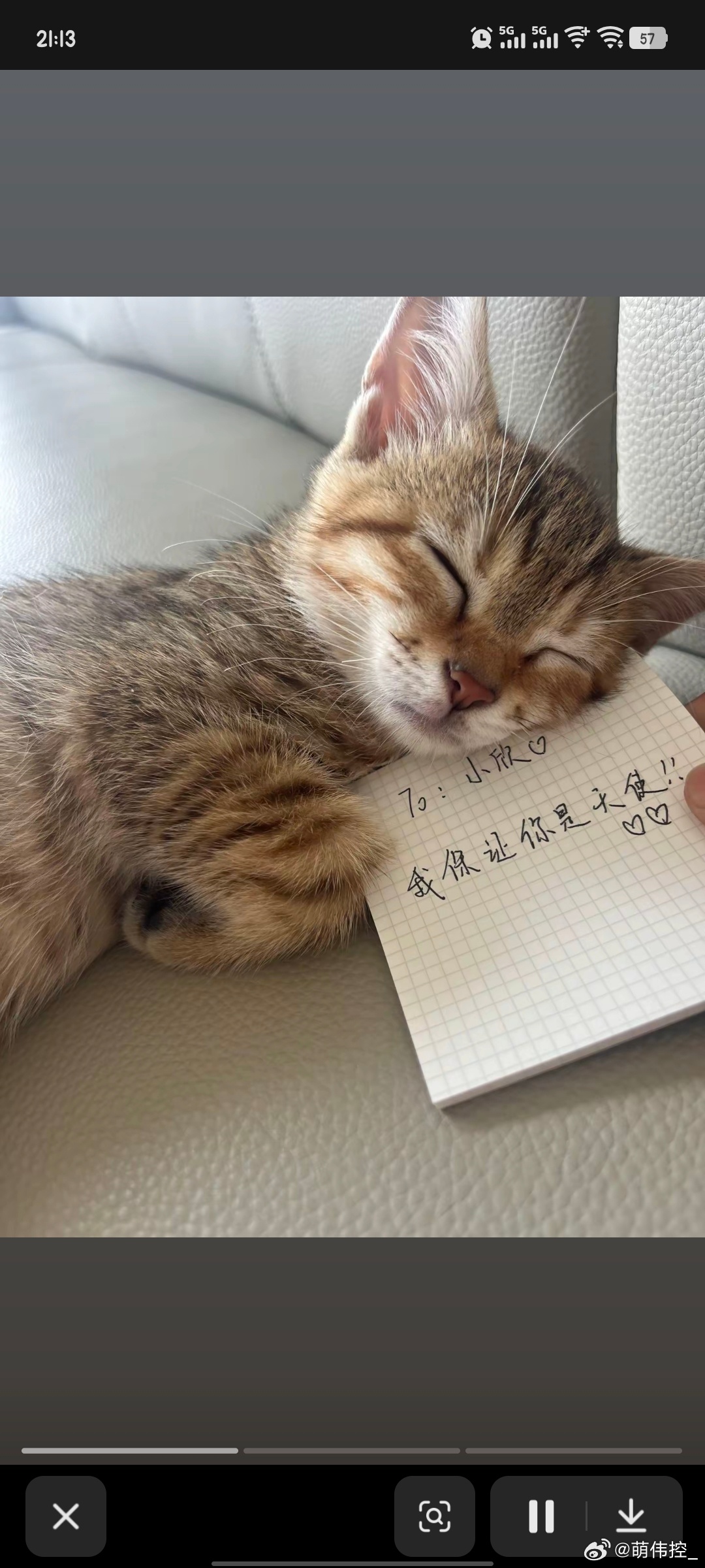oi 让小歪出来赚外快买猫条呀 