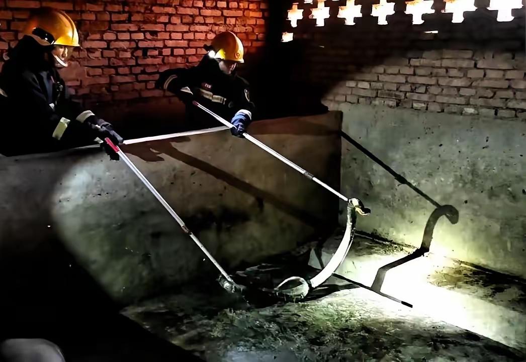 今日，一条巨型眼镜王蛇突然闯入村民家猪圈，平静小院瞬间陷入混乱。圈内家猪受惊狂躁