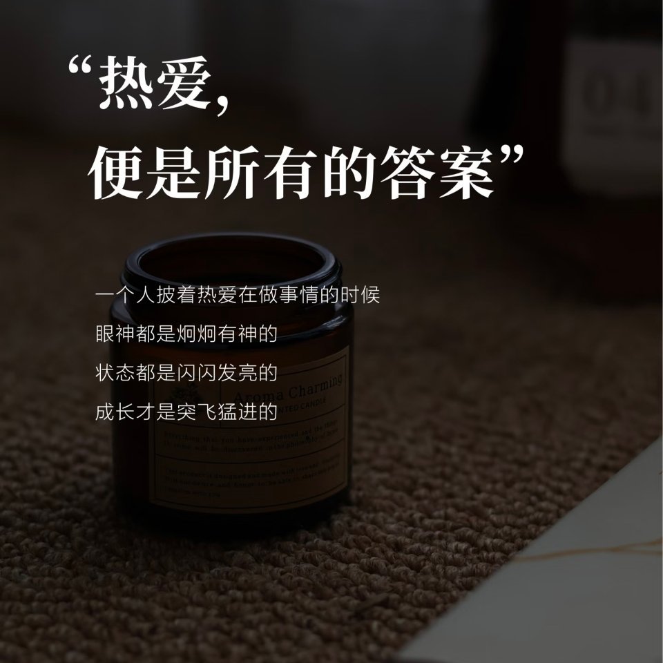 热爱的东西越多支点就越多把精力分散给不同热爱，生活就会拥有多重支撑。单一执念很容