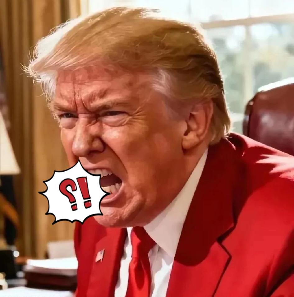 万万没想到！特朗普这操作也太疯狂了，拿着总统权力当“理财密码”？
 
美国政府道