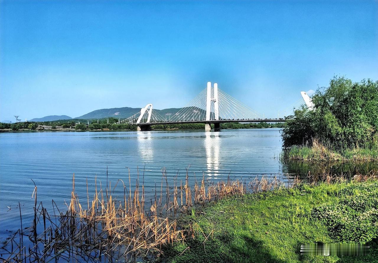 诚邀下联

桃红梨白。