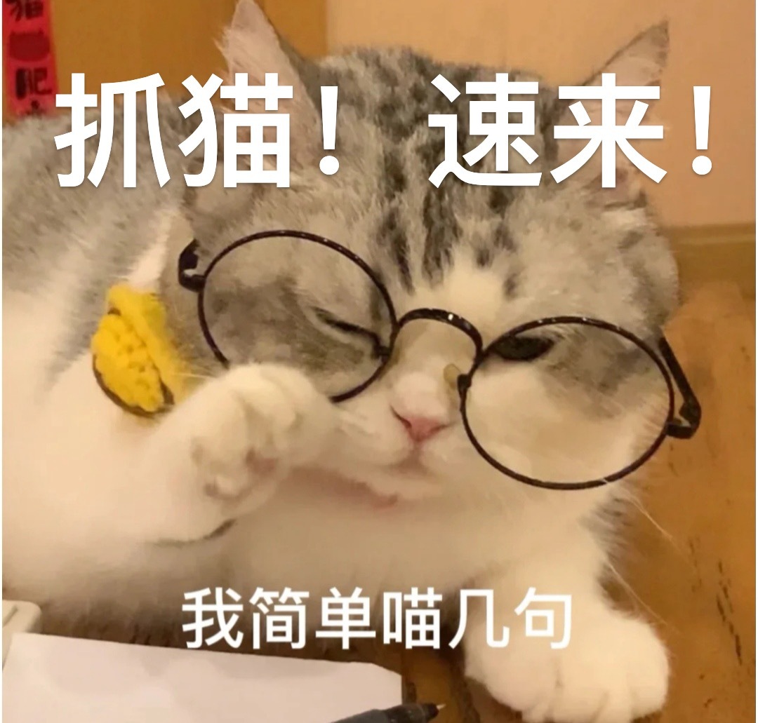 #集猫卡#追踪猫猫卡，解锁红包惊喜！快来参加集猫卡活动，在每个角落寻找猫猫卡，通