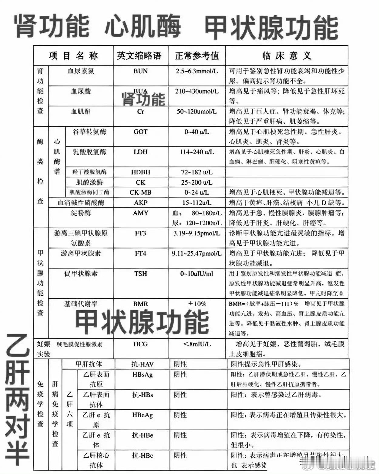 肠癌留了10年逃生窗口期学会看检查报告，早发现早预防早治疗！