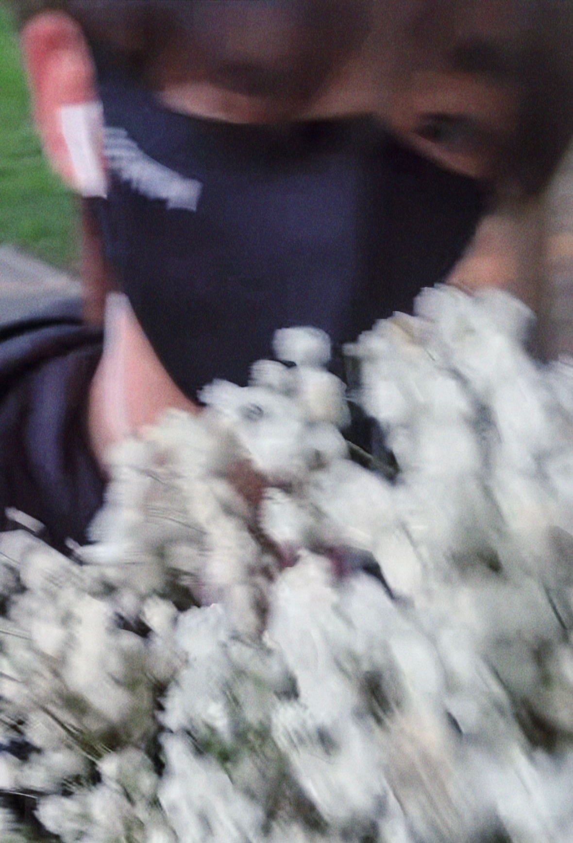 恋人怀中“满天星” .听见胸膛心在跳💐🧸💖💓丁程鑫直播
