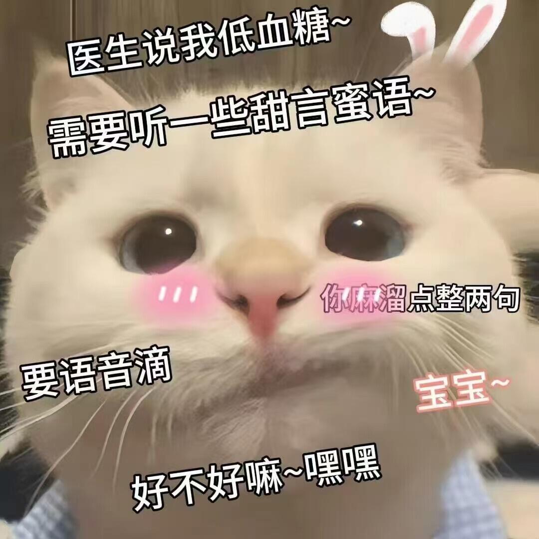 猫咪表情包太可爱了吧｜女孩子有点小脾气怎么啦！ 
