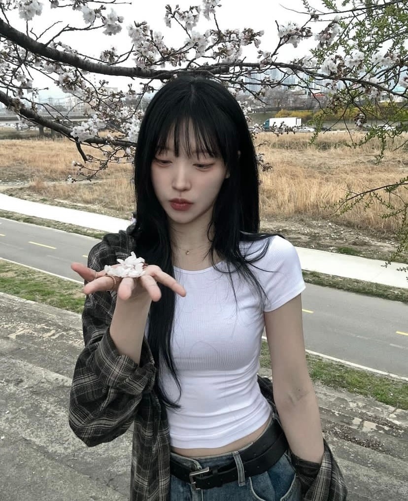 🌸🌸🌸turtlendurumii ​​​