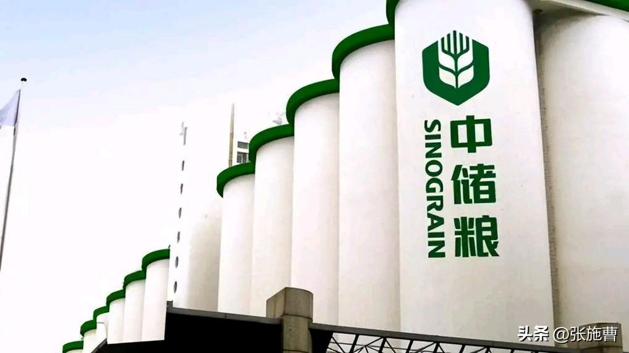 粮食大战如何从完败到全胜？

21世纪初中国在大豆产业遭遇重创后，通过强化主粮储