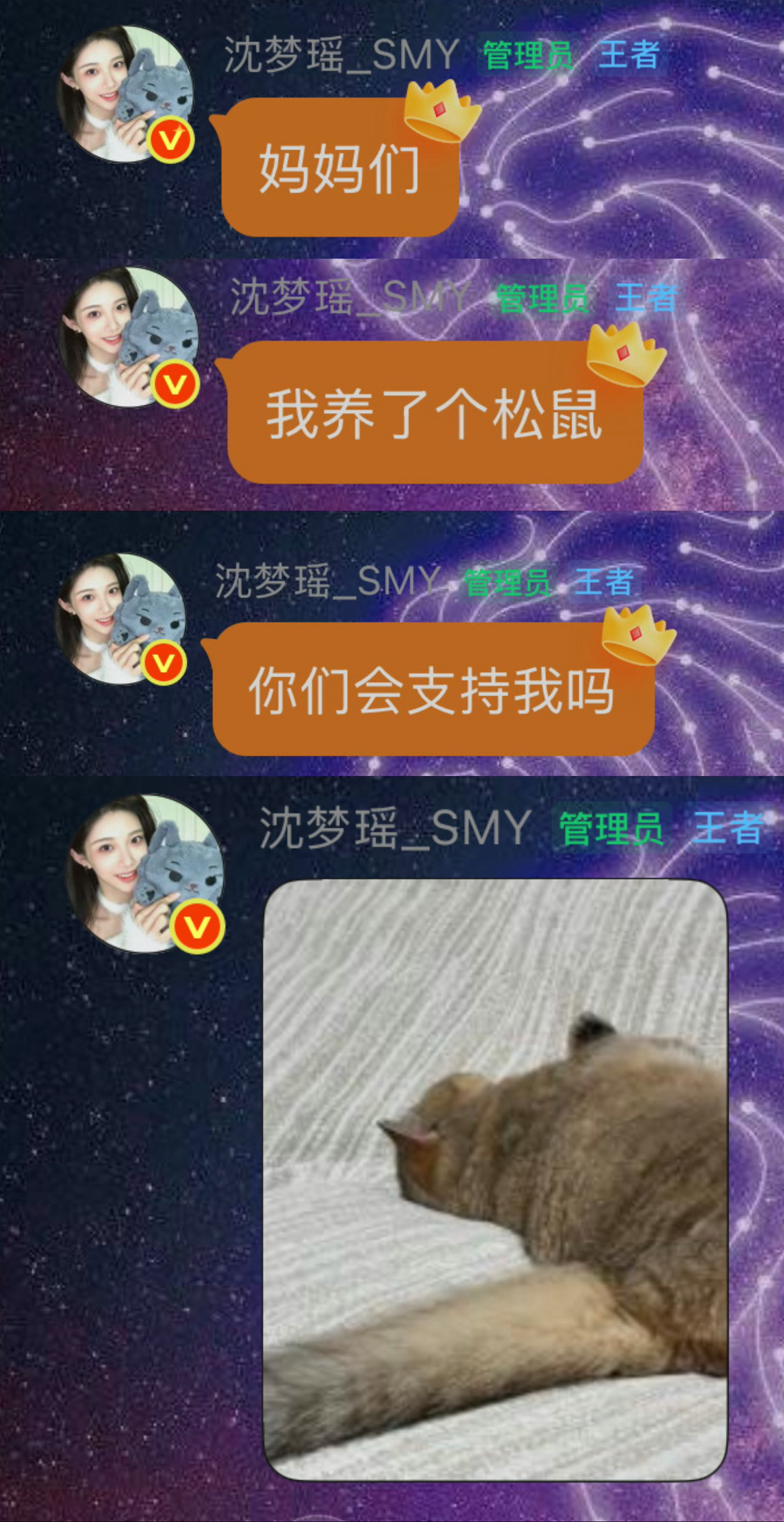 小老狼呀 我们要爱护环境松鼠长这样的话 树枝是会被压断的！ 