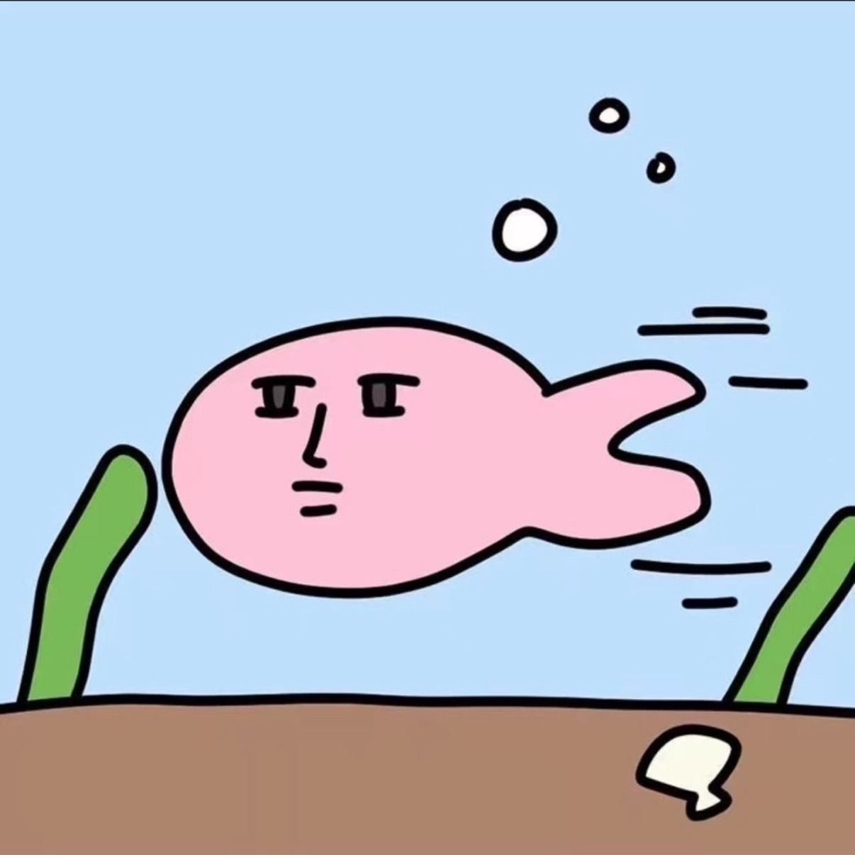 分享图片 