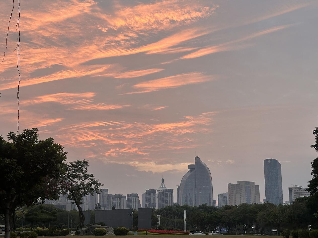 分享今天的随手拍！