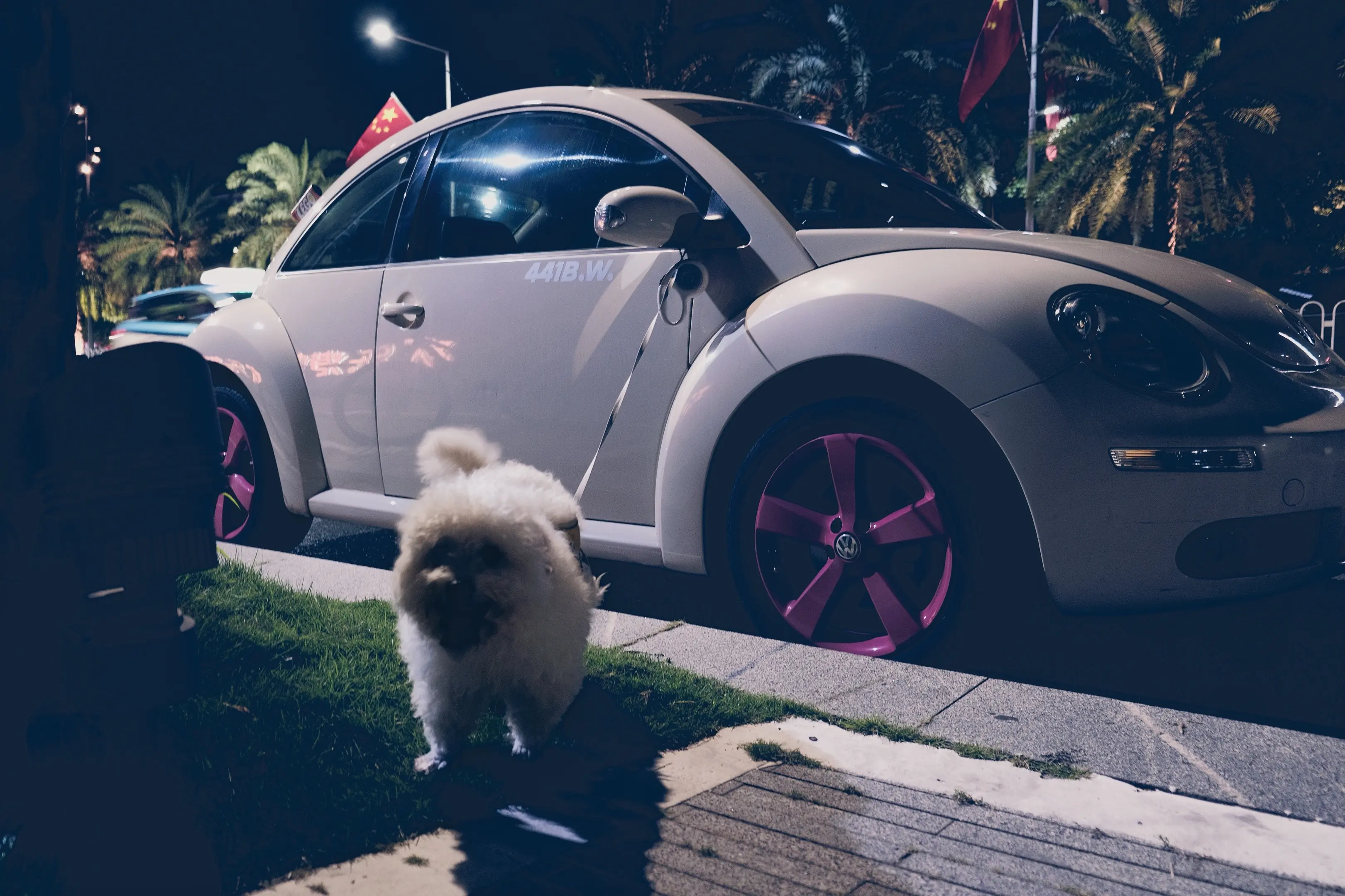 我唱得不够动人。