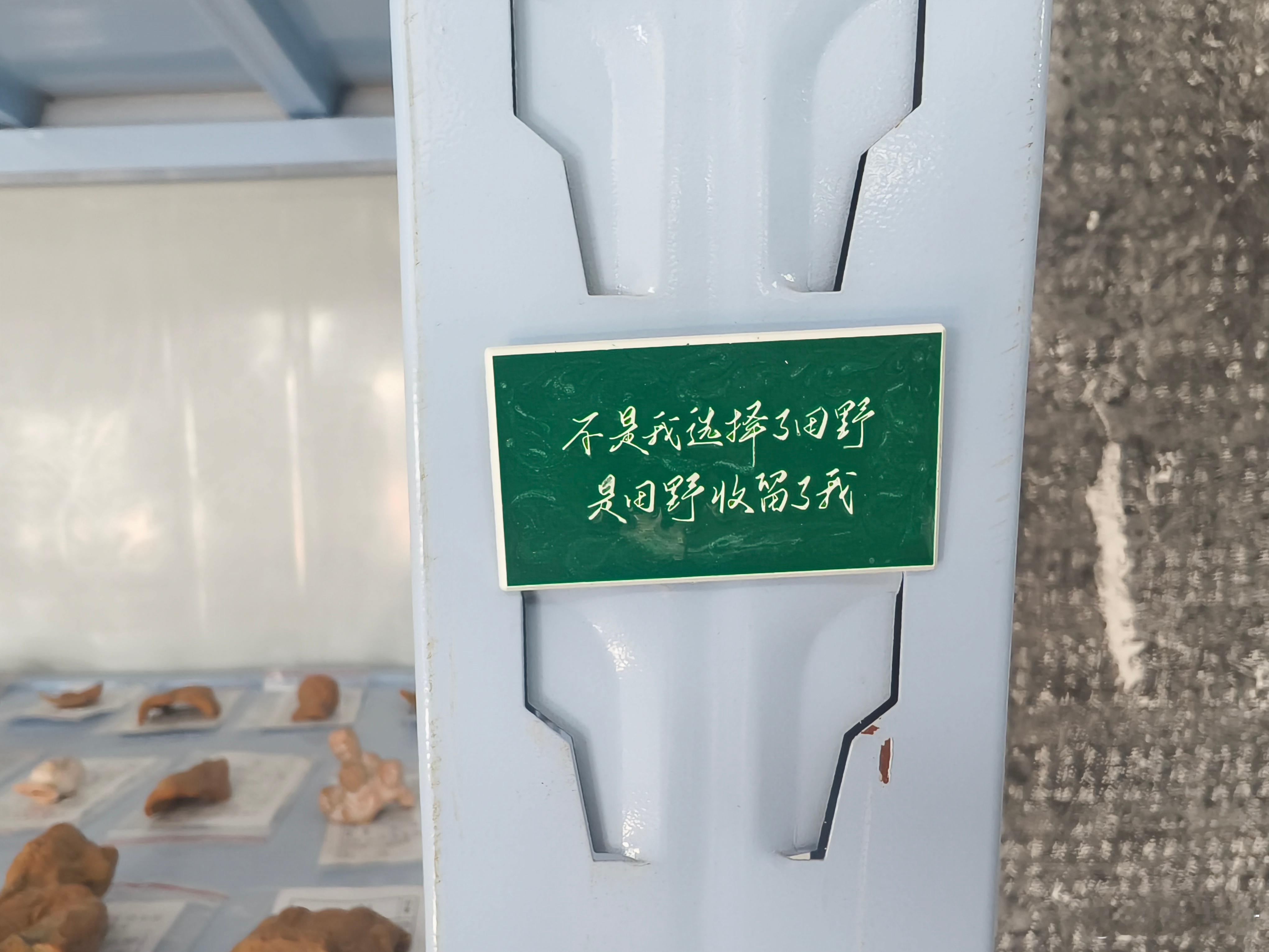 这是今天我在河南院文物架上看到的，扎根田野的单位是不一样。​​​