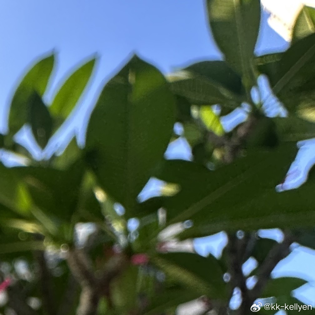 蔡欣洋  ‎每日一善 阳光，不只来自太阳，还来自我们的内心，心里有阳光，才能看到