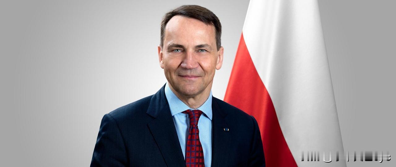 波兰副总理兼外交部长西科尔斯基在波兰RMF FM电台节目中表示：“欧盟委员会产生