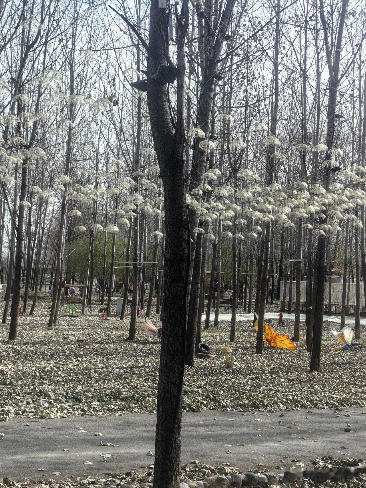 曾国藩：一个人能否深交，关键看这4点。
1、端庄厚重
《易经》曰：君子以厚德载物