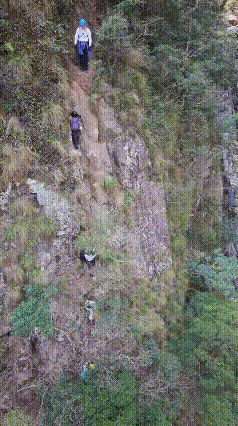 这才是真正的“玩命式”徒步！隔着屏幕腿都软了！
刷到前几天发生的事，直接让我屏住