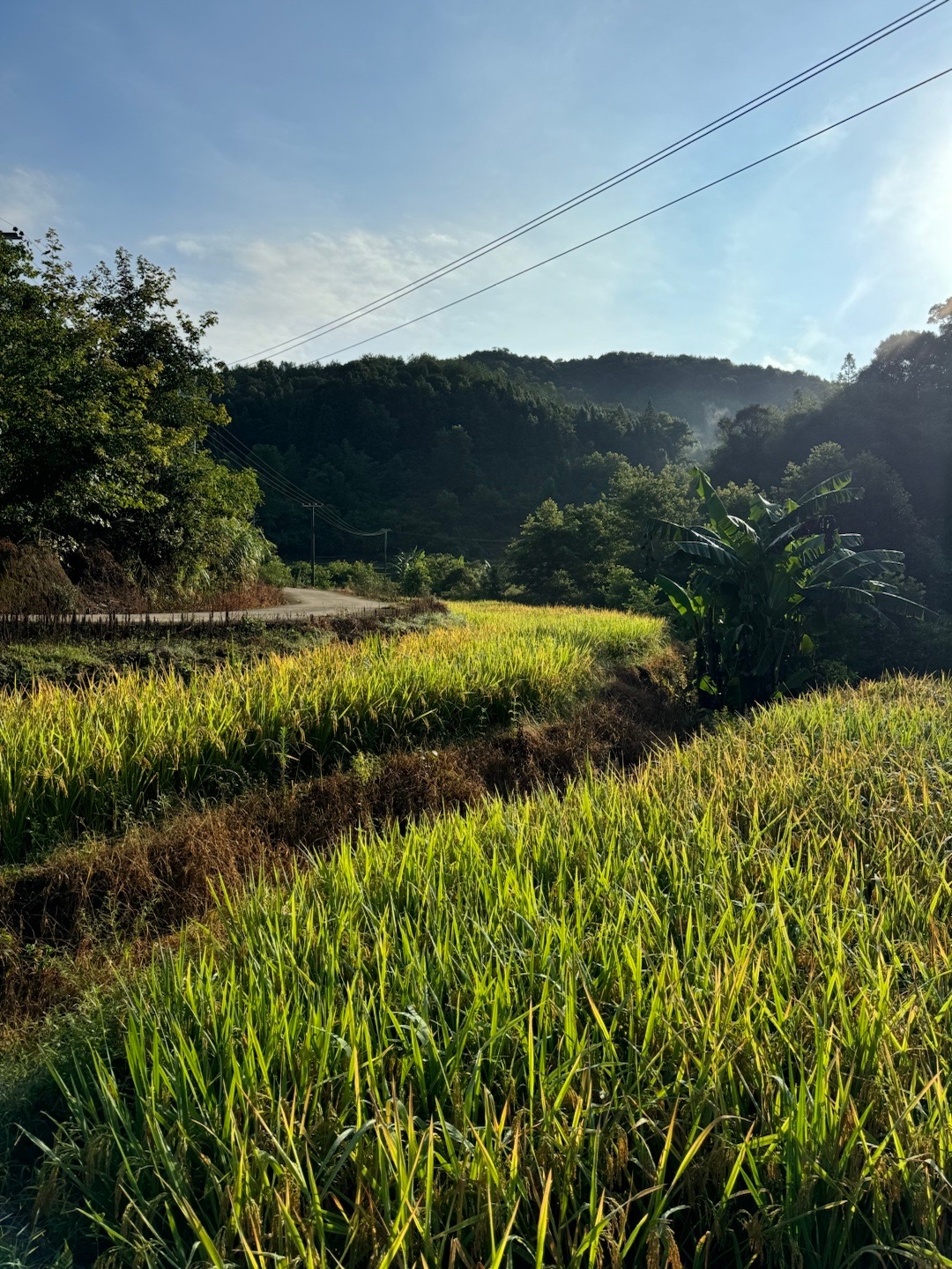 曾几何时，人生梦想就是择一处景，有山有泉有茅屋，有田有地有牲畜，还有妻儿与你我，