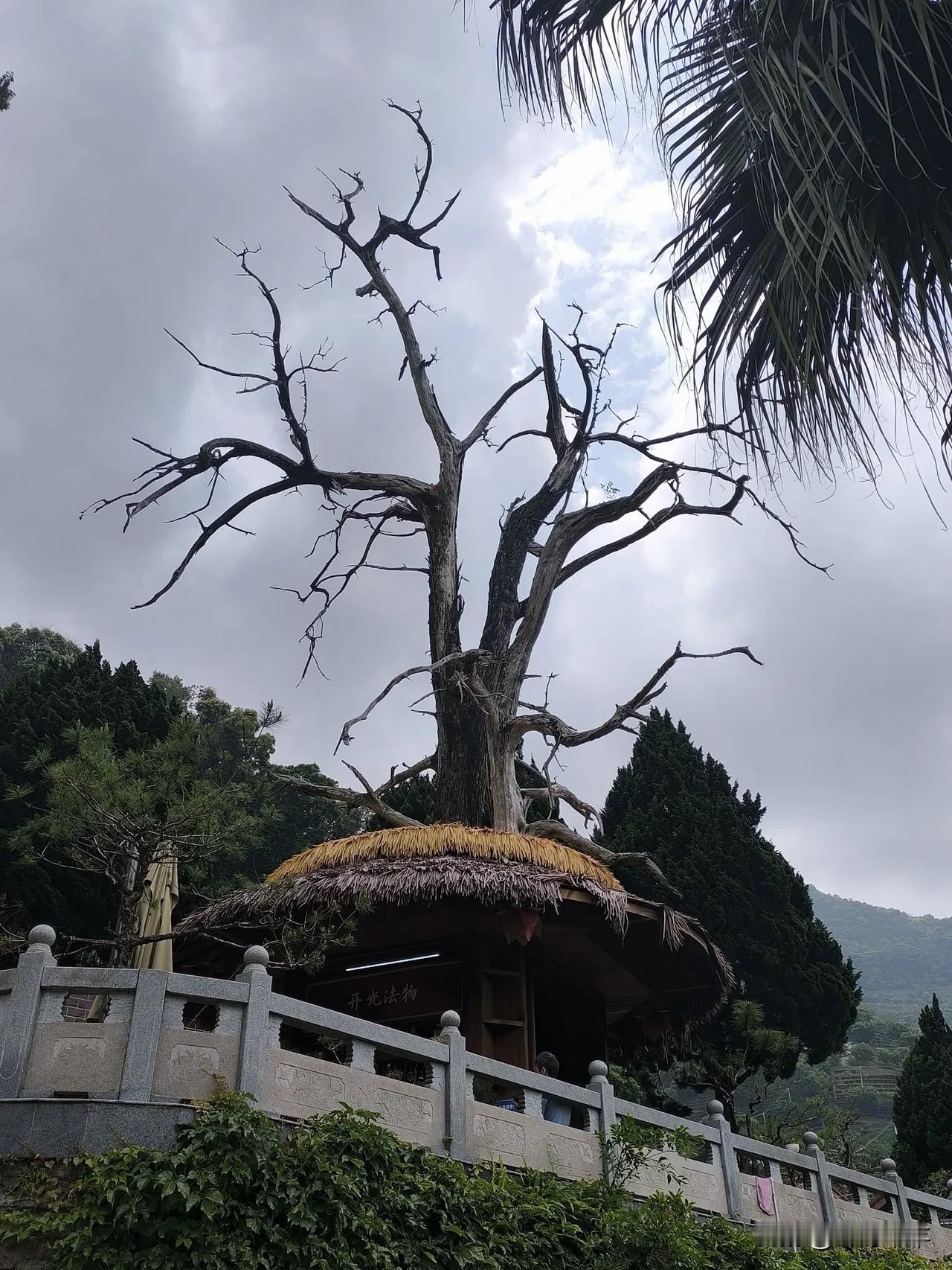 分享城市新鲜事