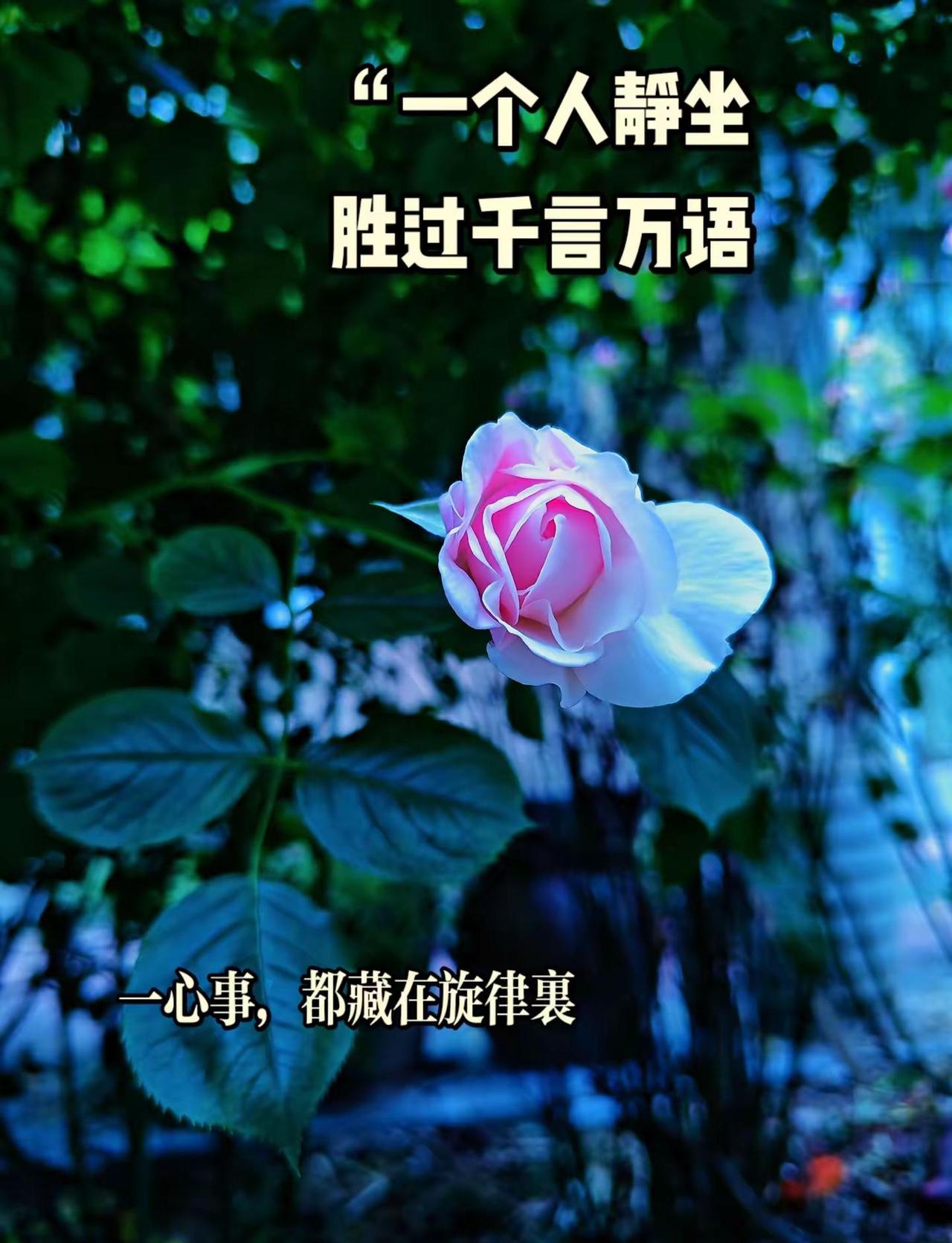 有时候一个人静坐，胜过千言万语不必倾诉，不必解释中年的情绪，只有安静和音乐能够治