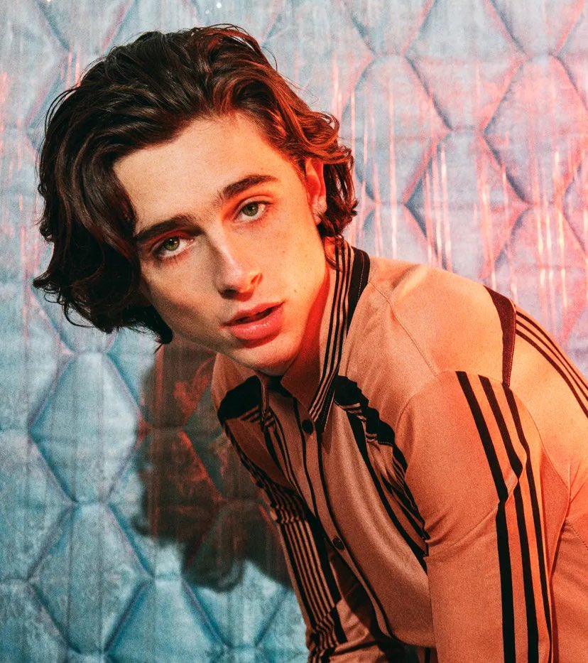 提莫西·查拉梅说他接下来最想合作的导演是保罗·托马斯·安德森，认为"这是梦寐以求