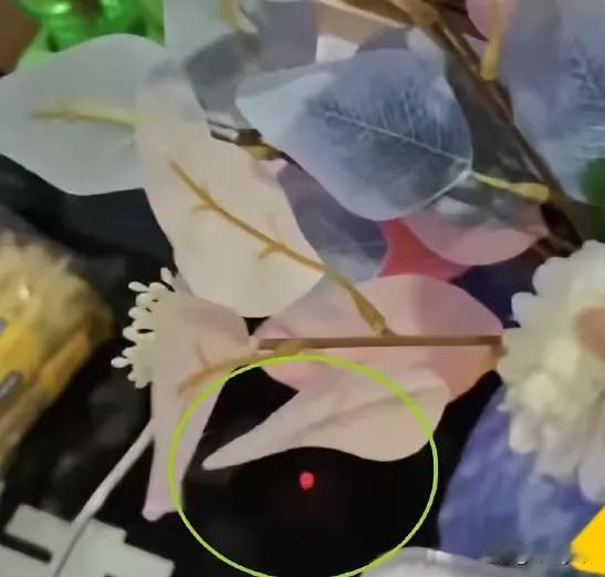 “这男人太无耻了！”湖南衡阳蒸湘区，一女子入住酒店，直到第5天才发现房间假花里藏