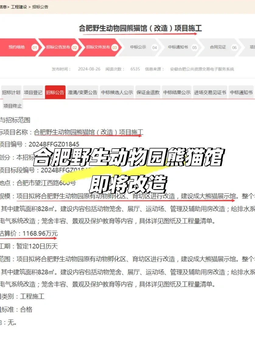 🐼合肥即将迎来熊猫宝贝啦！