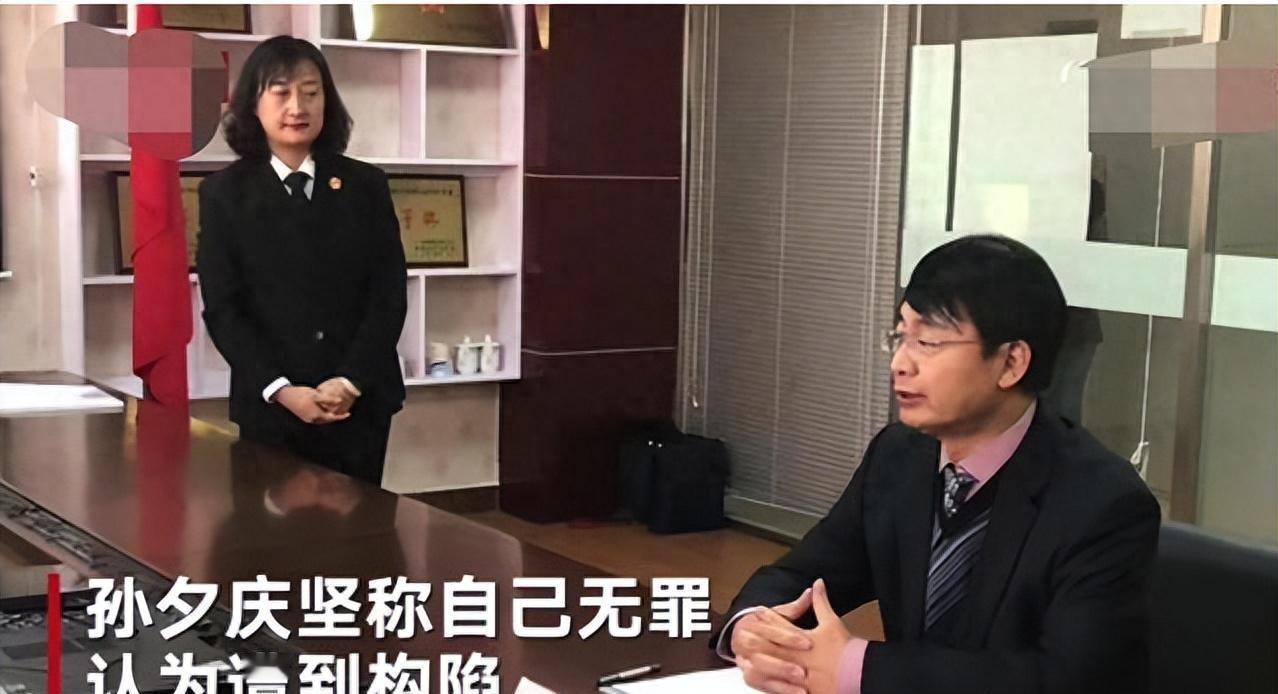 2015年，清华博士孙夕庆的人生轨迹突遭变故，一纸荒唐的罪状将他推入深渊。蒙冤入